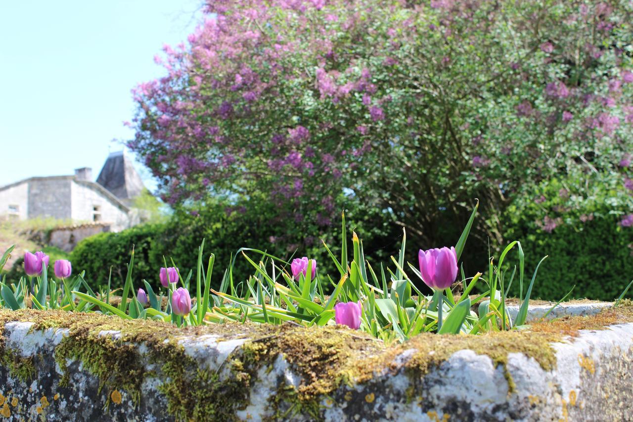 Chateau De Sers Sers  Dış mekan fotoğraf